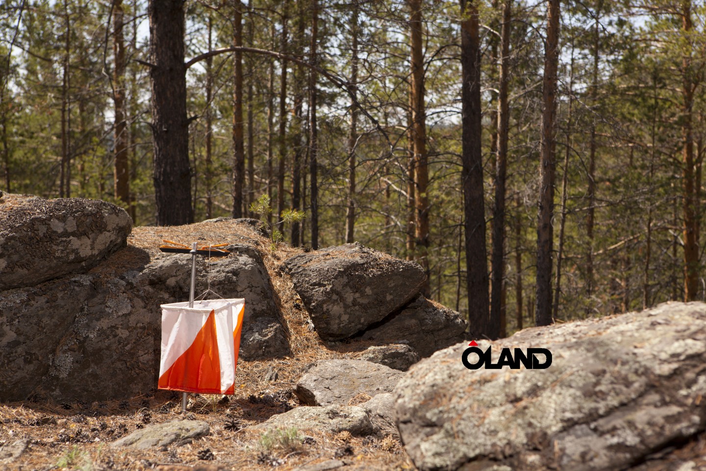Orienteering  teamwear